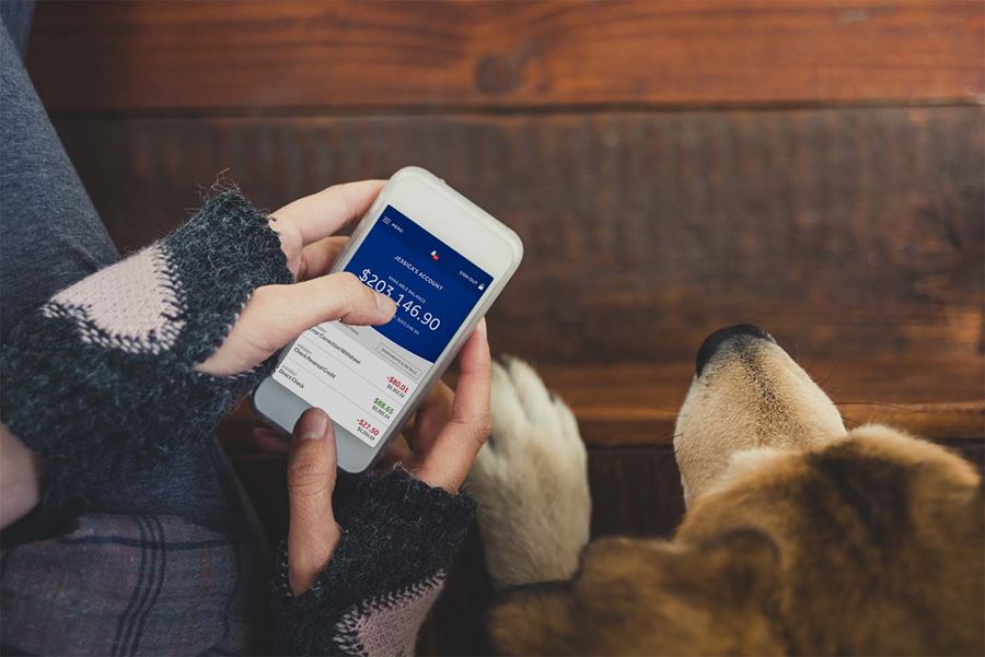 Woman using ebanking app with dog at side